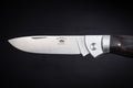ED MAHONY Ebony Folder 3rd Generation, Taschenmesser, Ebenholz Griffschalen, Backlock,  D2 Messerstahl ED MAHONY