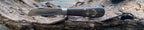 OTTER ANKER-MESSER RÄUCHEREICHE klein und Ed Mahony Messer (diverse zur Auswahl) ED MAHONY