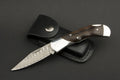 IZUMI ICHIAGO Red Hawk Folder, Taschenmesser aus Japanischem VG-10 Damaststahl mit Lederetui IZUMI ICHIAGO