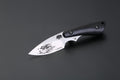 PUMA IP / Ed Mahony wildboar II (zwei Wildschweine),  Ebenholz ED MAHONY