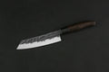 TAKAHIRO MIYAZAKI - Santoku bocho Okii - Santoku Messer 7 inch,	 Klinge aus japanischem blauem Papierstahl TAKAHIRO MIYAZAKI