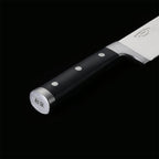 IZUMI ICHIAGO Gyoto Fleisch- und Fischmesser  , Tecaran® Griff , "Professional Chefmesser" 10 inch ERNST SIEBENRICHER-HELLWIG