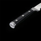 IZUMI ICHIAGO Tournier- /Obstmesser , Tecaran® Griff , "Professional Chefmesser" IZUMI ICHIAGO