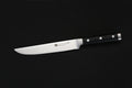 IZUMI ICHIAGO Filetmesser aus Japanese High Carbon Edelstahl, Griff aus Tecaran IZUMI ICHIAGO